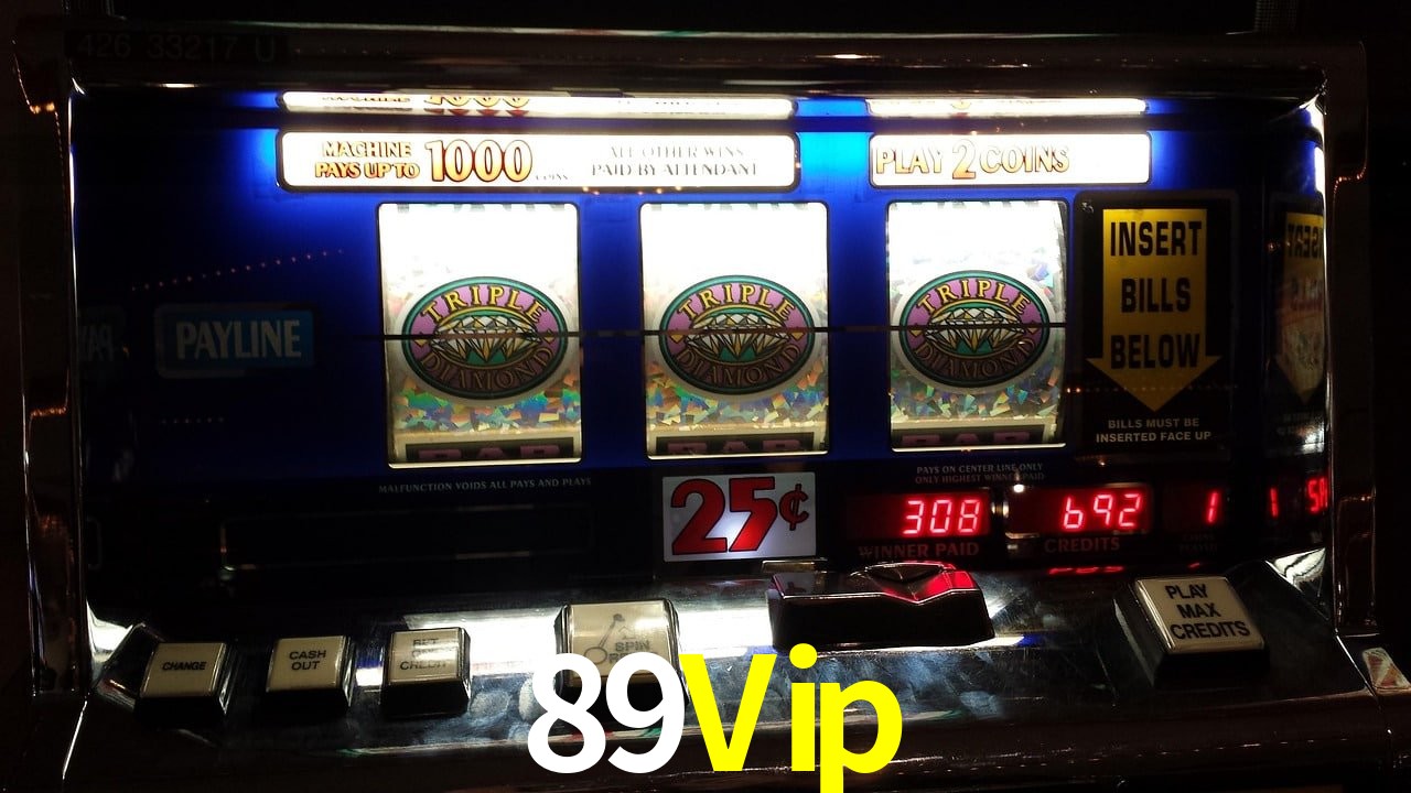 Experiência VIP 89Vip